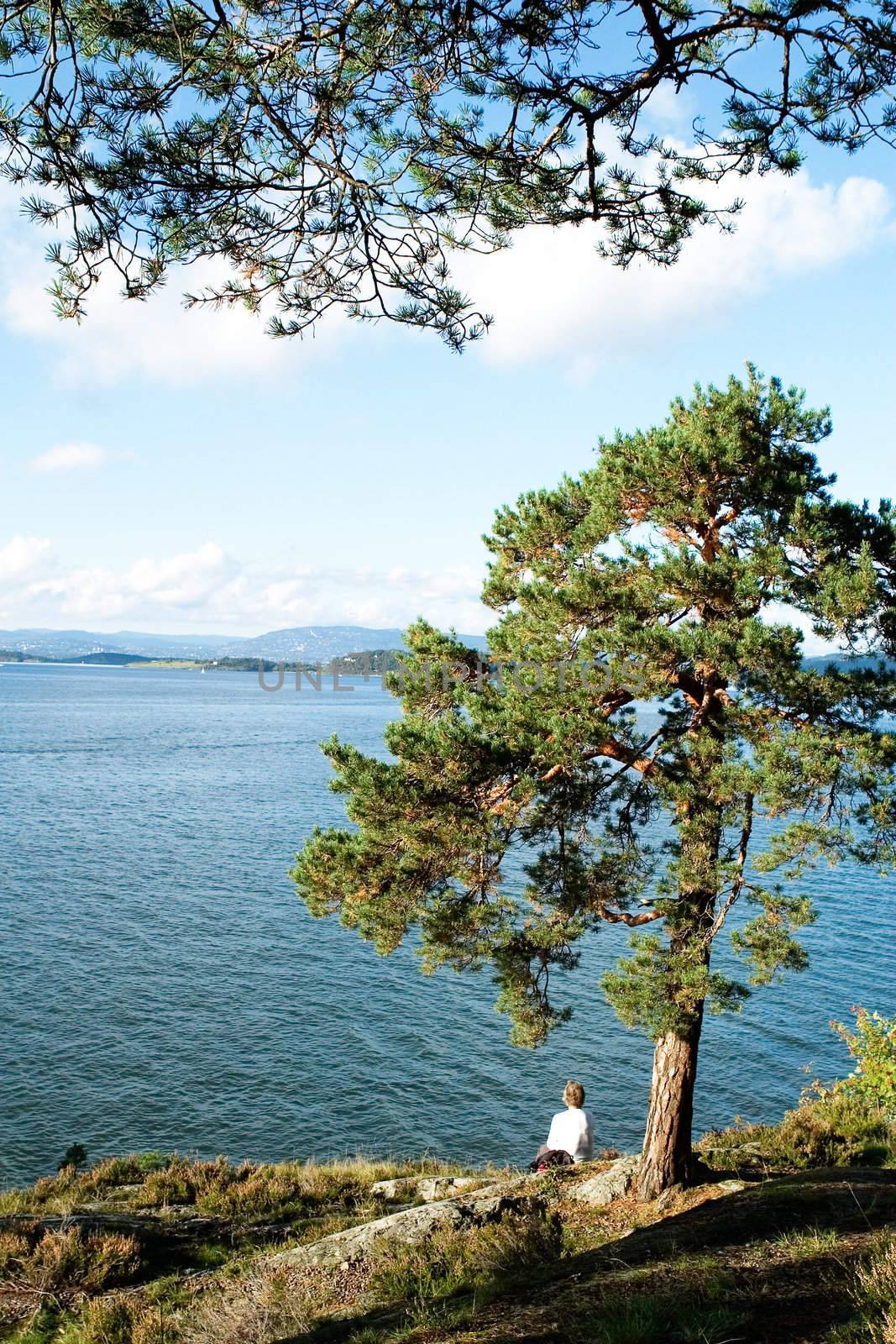 An eldery woman sitting on the rocks by the ocean under a tree.