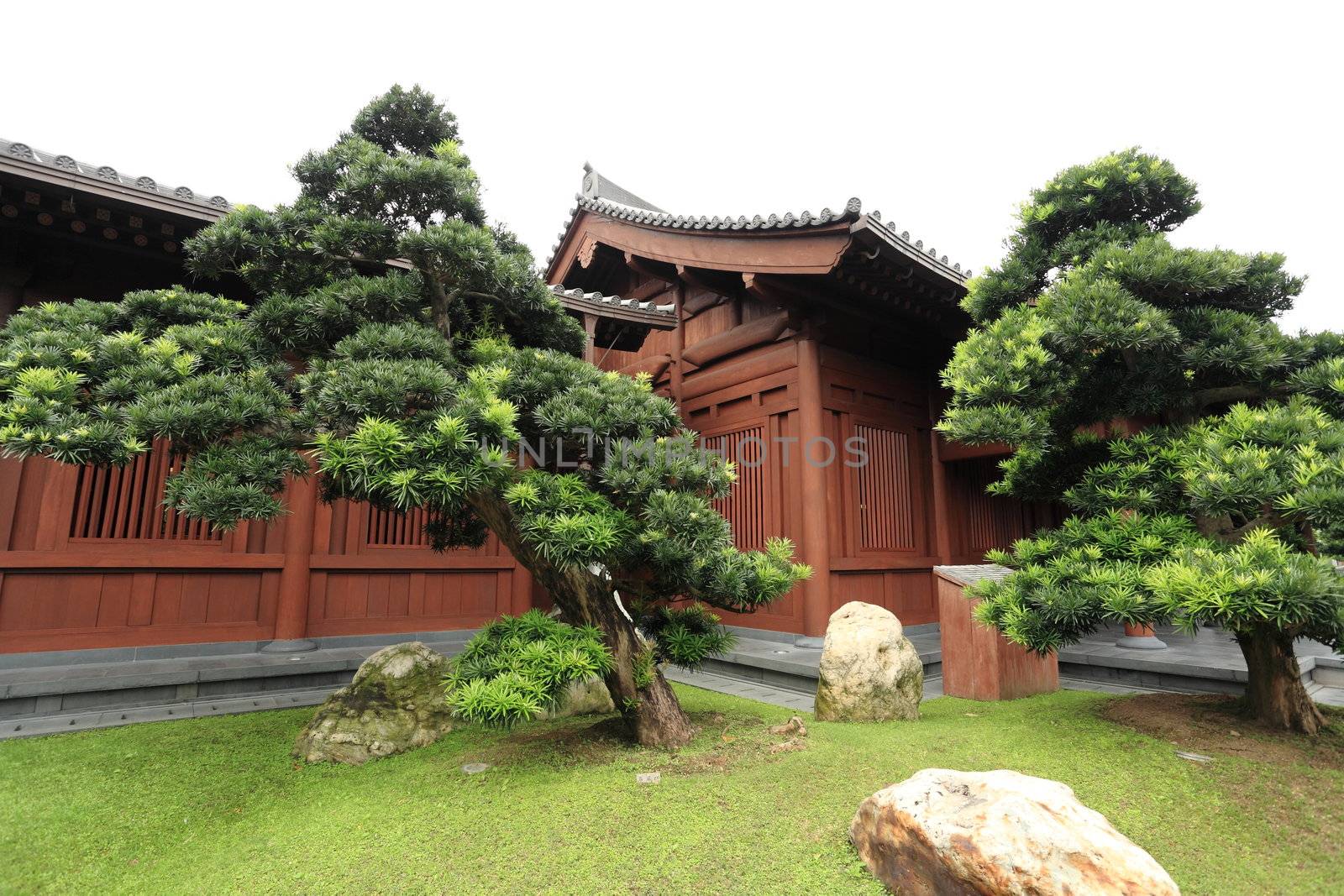 chinese garden