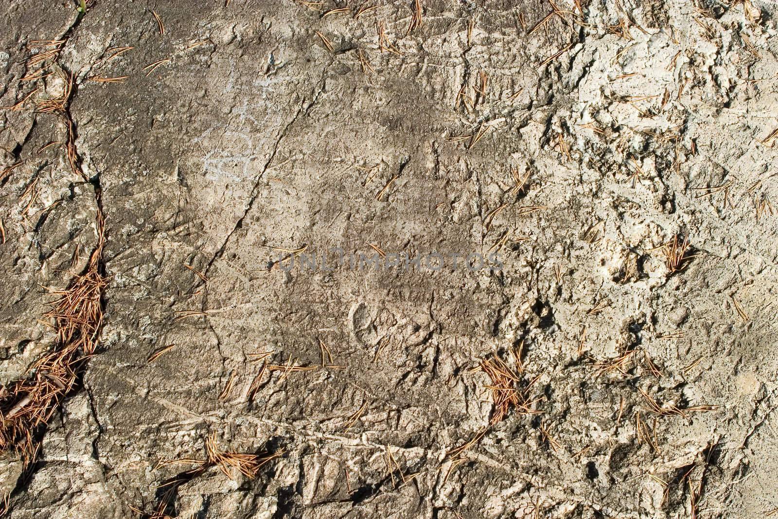 A layerd rock background texture from oslo, norway.