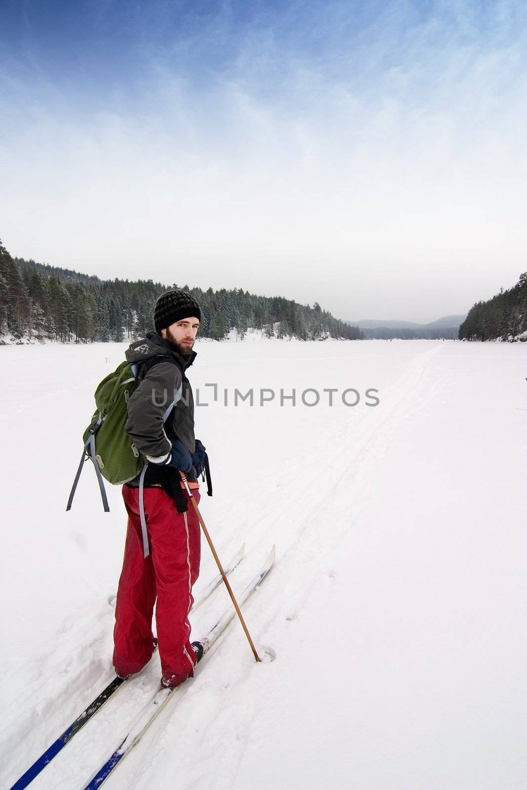 Cross Country Skiing by leaf