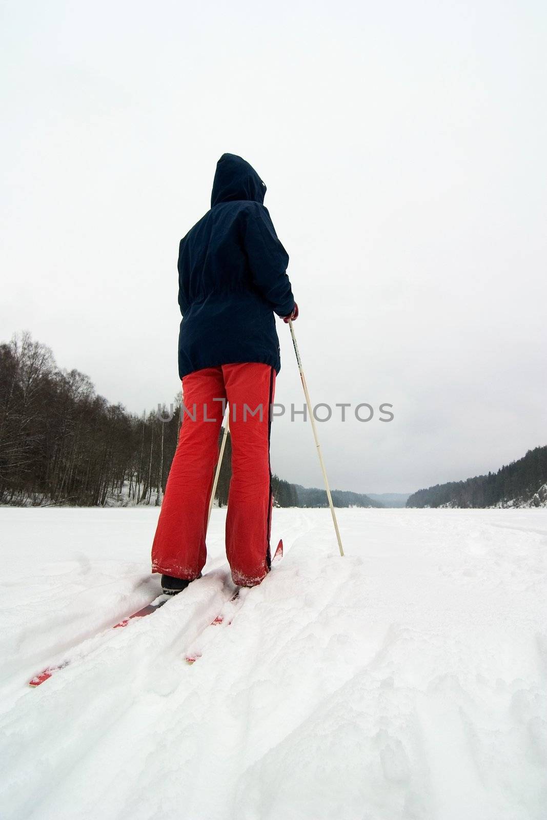 Cross Country Skier by leaf