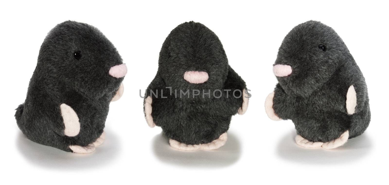 Trio Gentlemans in black velvet isolated toy by sergeyoch