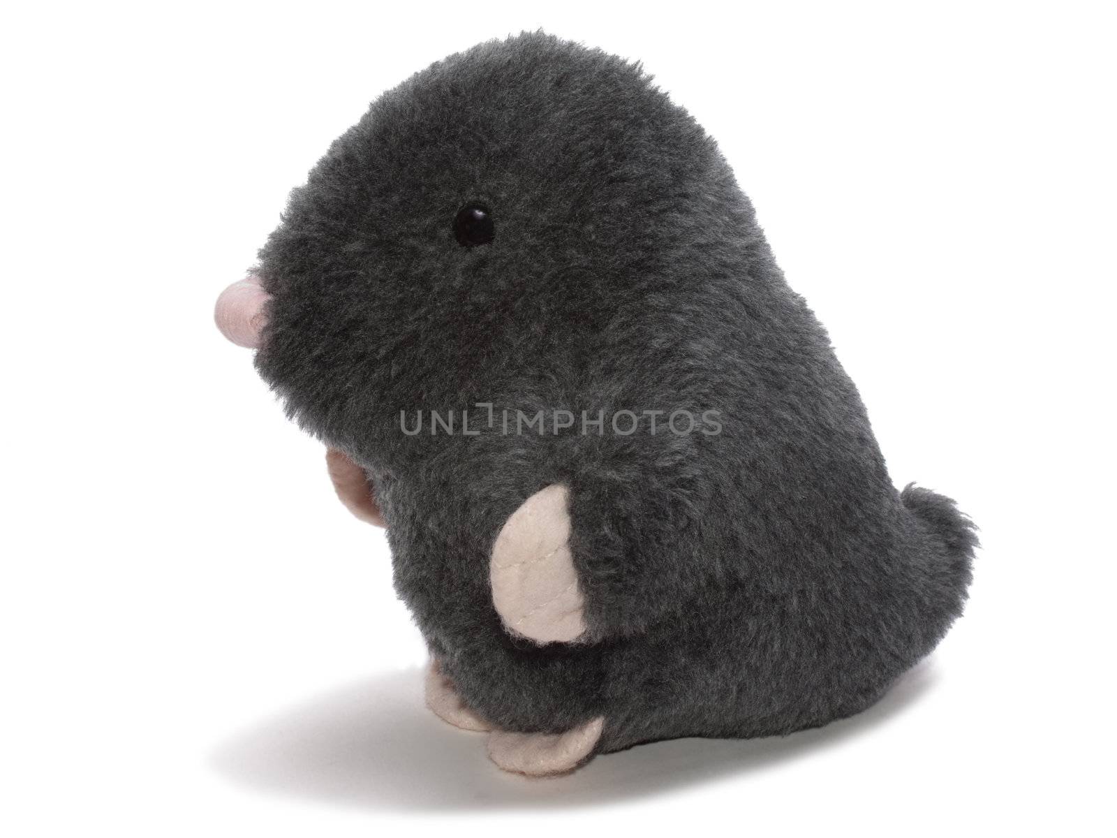 Toy Mole left side view isolated on the white background