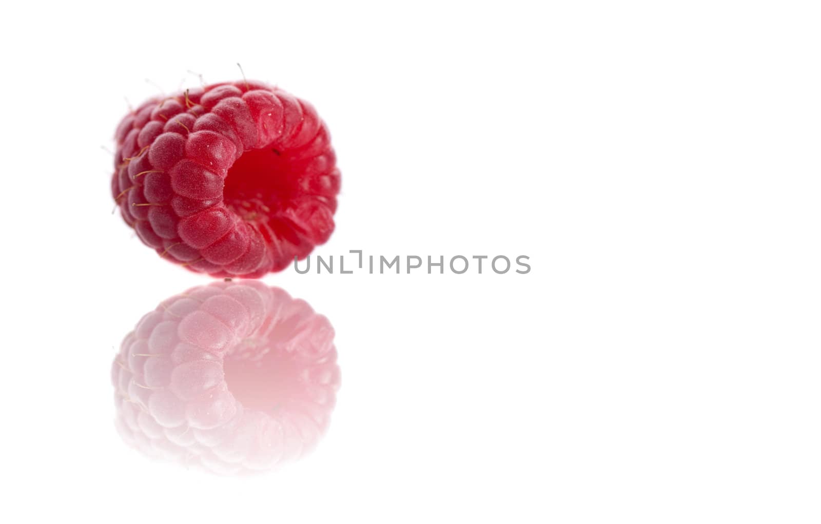 Single raspberry on white background with reflection