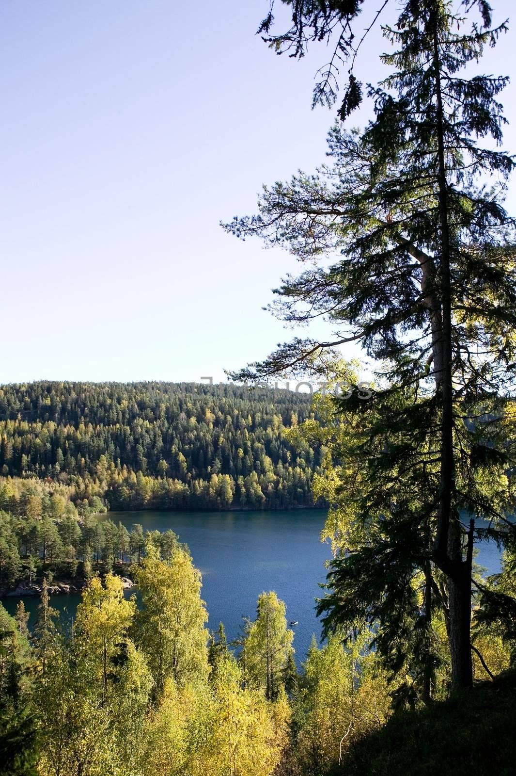 A lake in the middle of a forest.  Near Oslo, in the eastern forest - �stmark, N�klevann