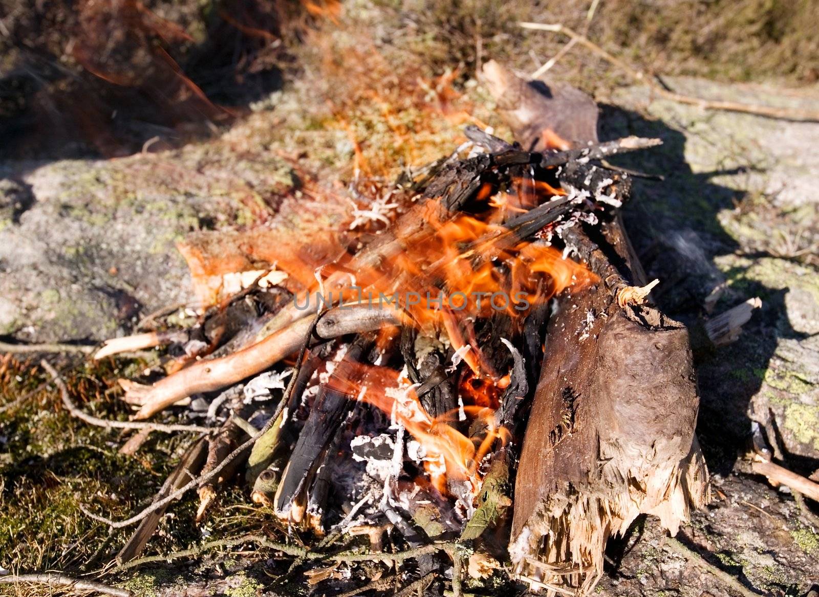 A camp fire during the day with eager orange flames.