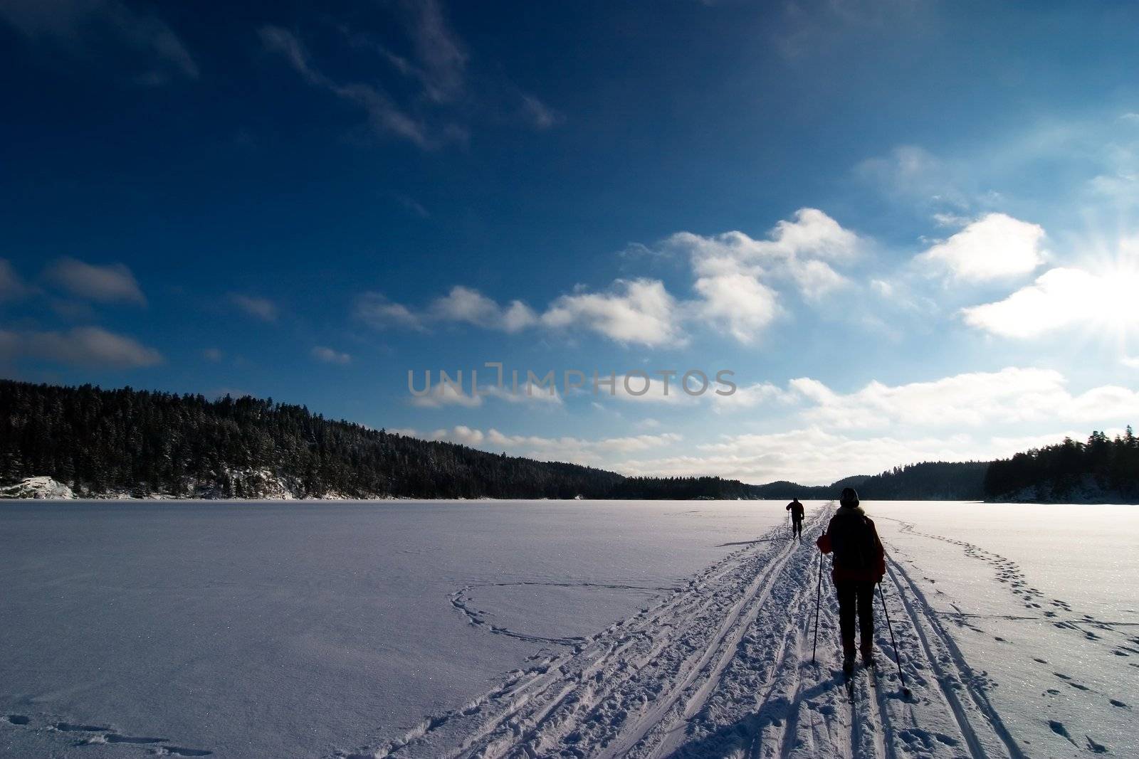 Cross country ski trails on a beautiful blue winters days.