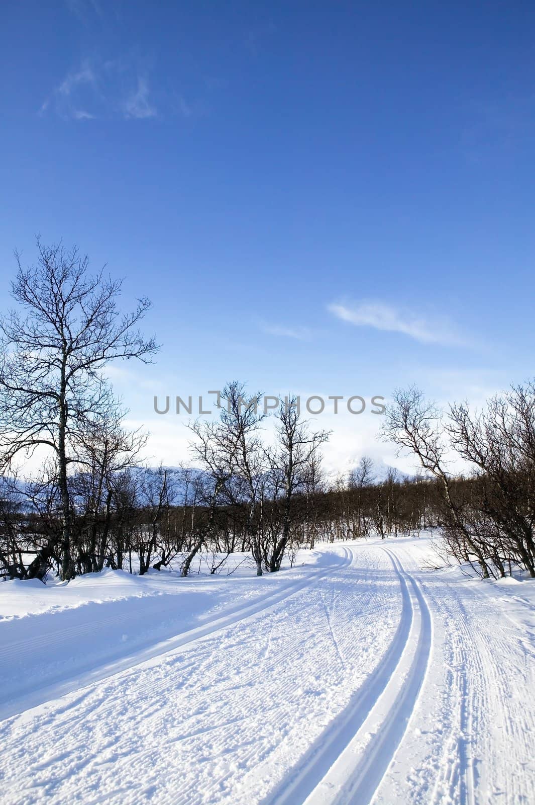 Cross country ski trails in the mountains of Norway.