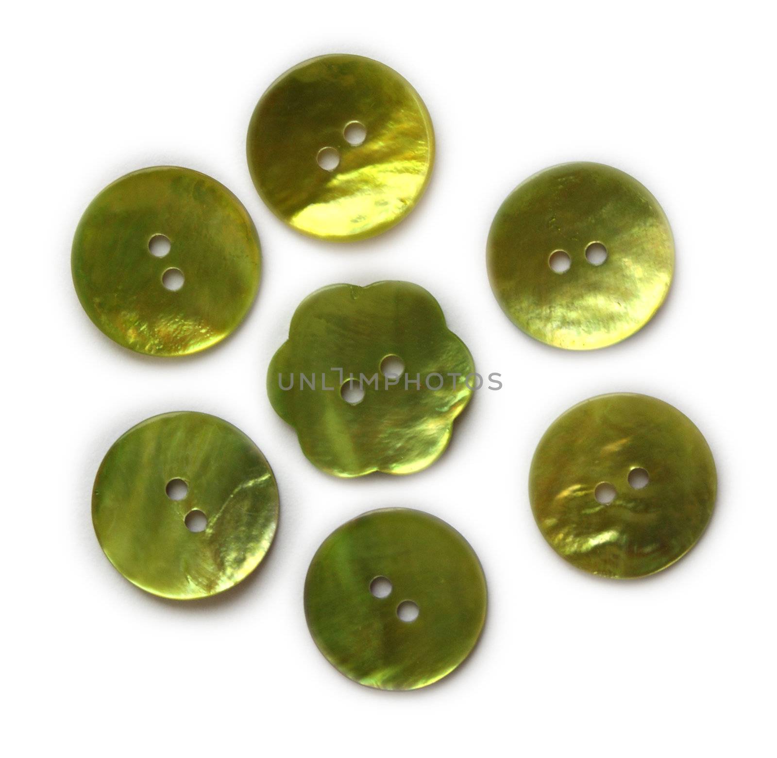 Green mother of pearl buttons isolated on white background.