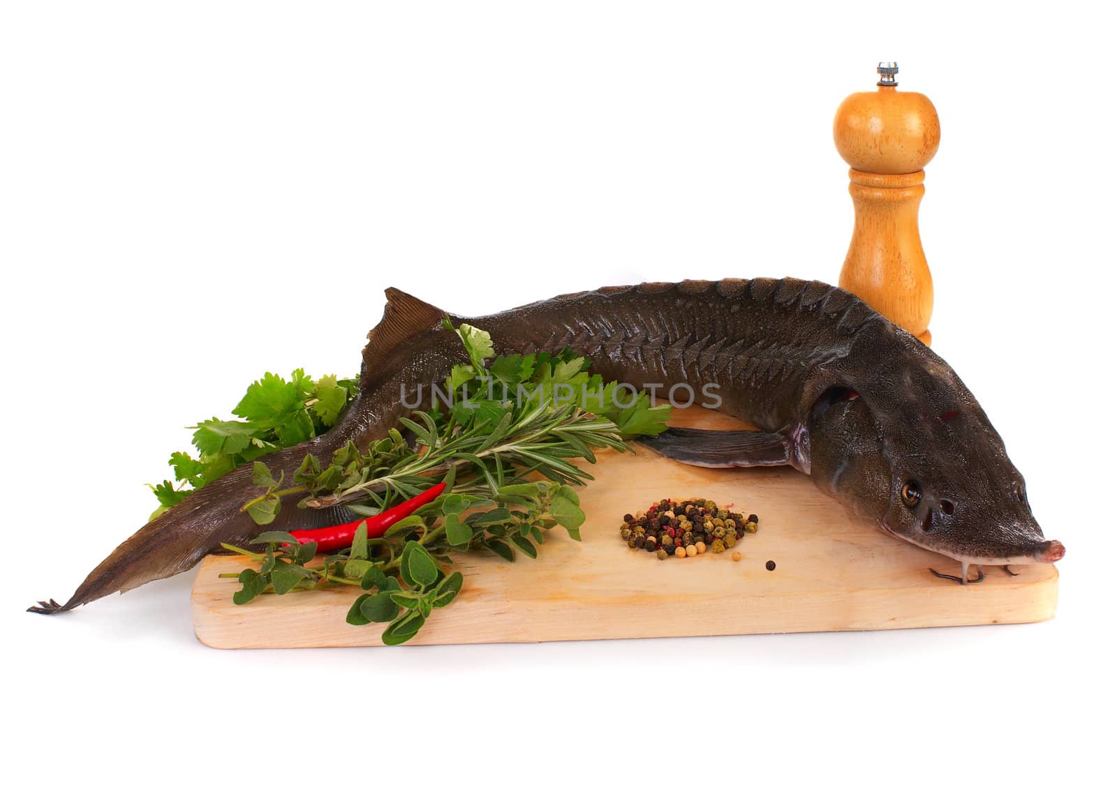 Fresh sturgeon on a wooden board with spices