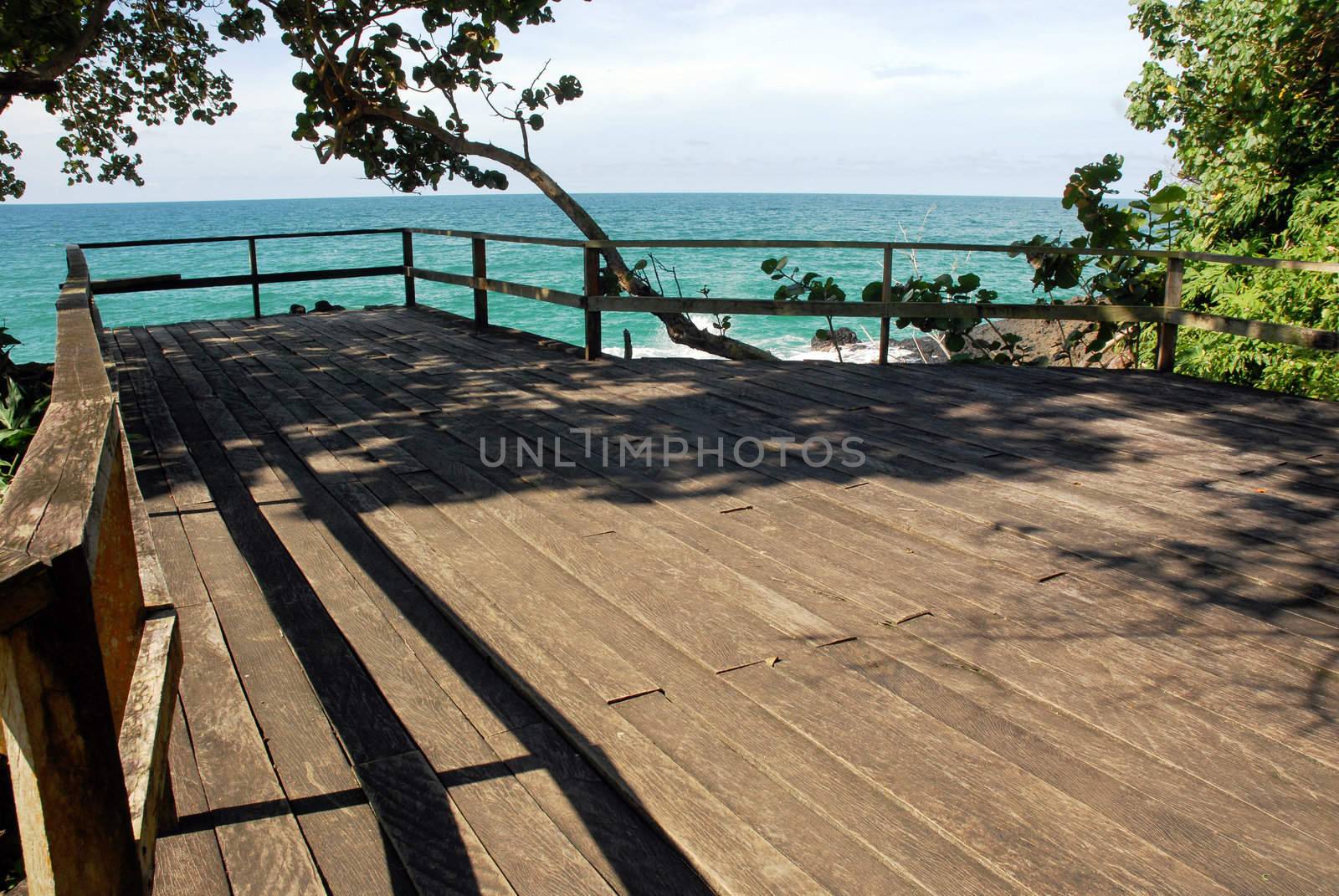 Wooden deck over the sea sorrounded of vegetation
