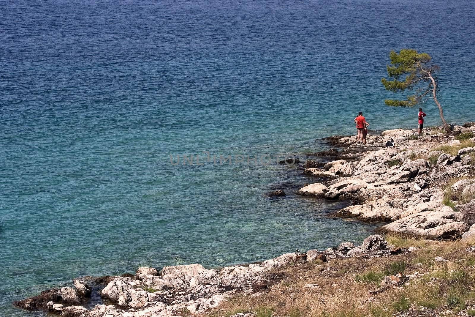 Beach by miradrozdowski