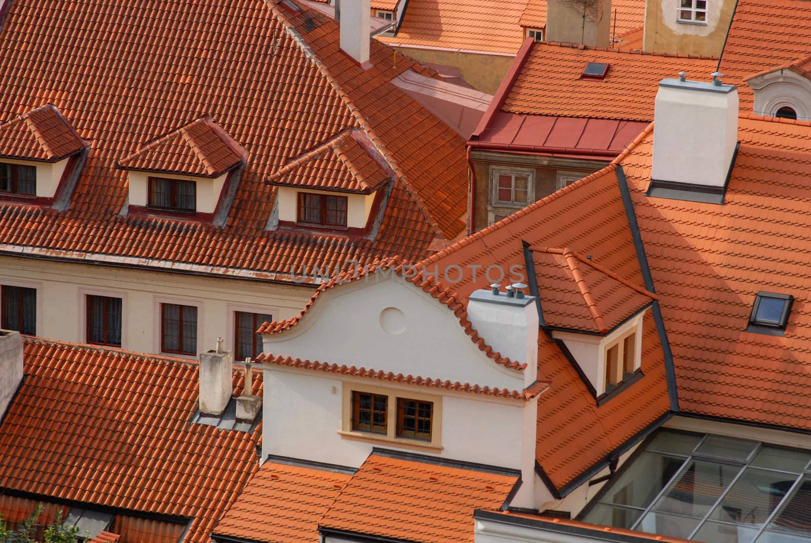 Red roofs  by cienpies