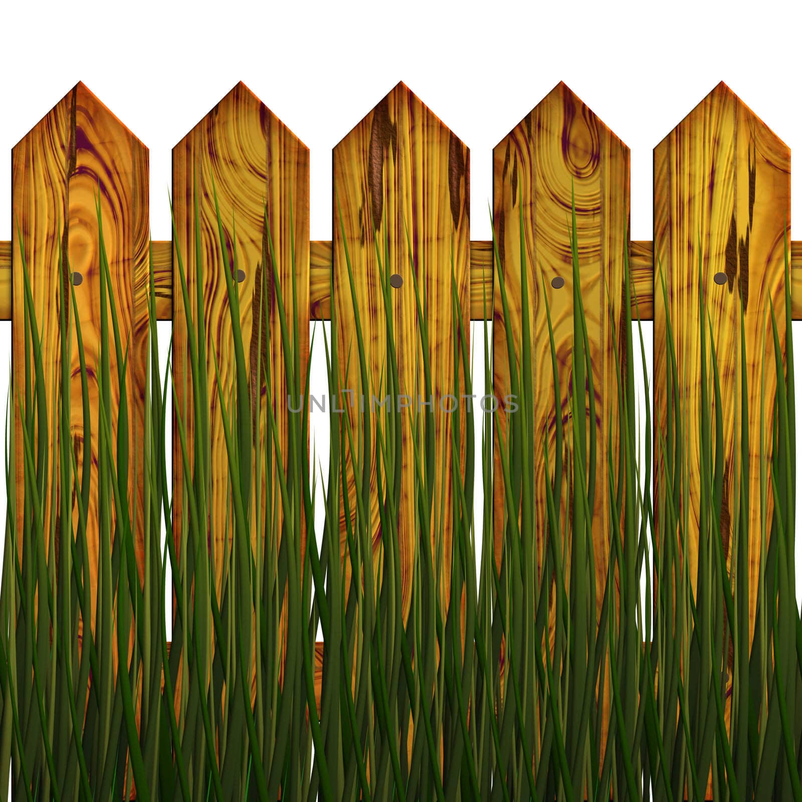 The fence in herb, on white background, The Illustration 3D. isolated object