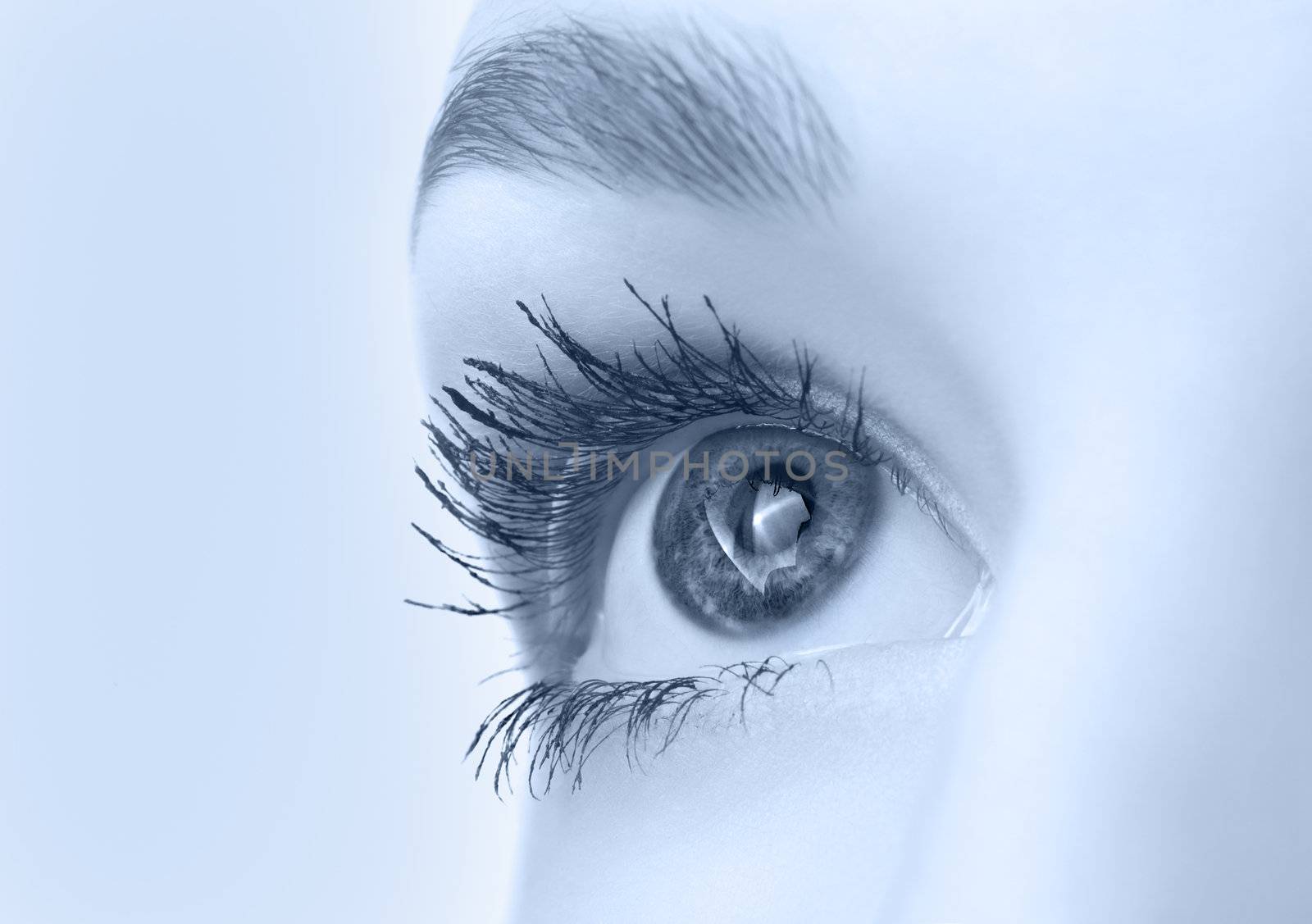 beautiful eye closeup, monochrome blue version