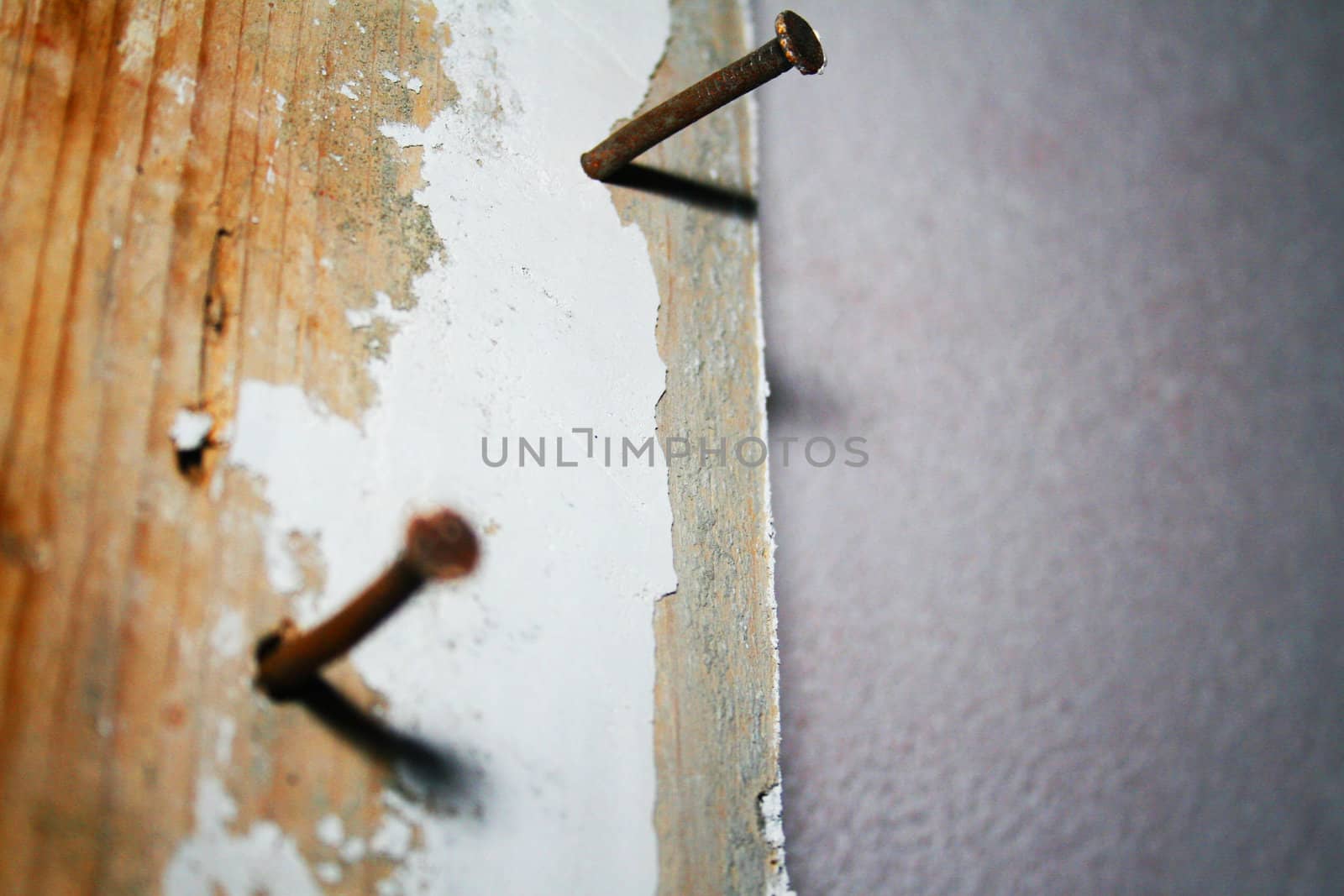 Close-up rusty nails in old wood plant during renovation