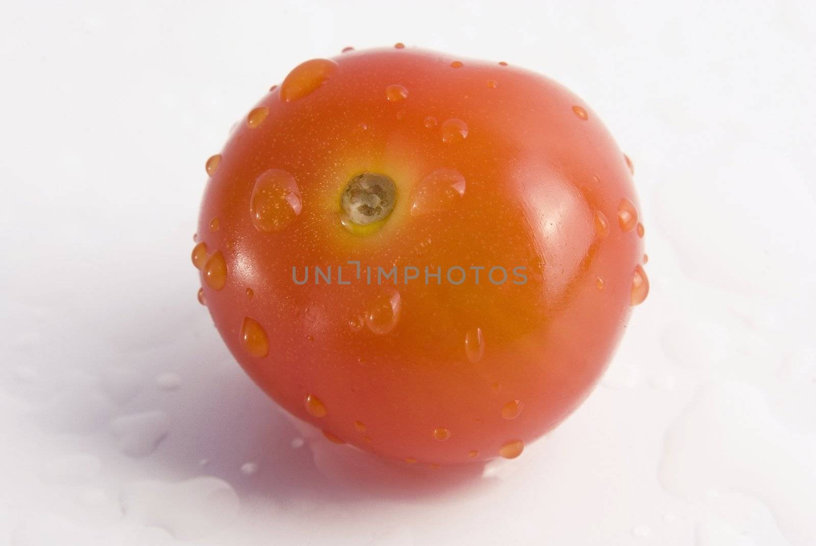 cherry tomatoe isolated by cienpies