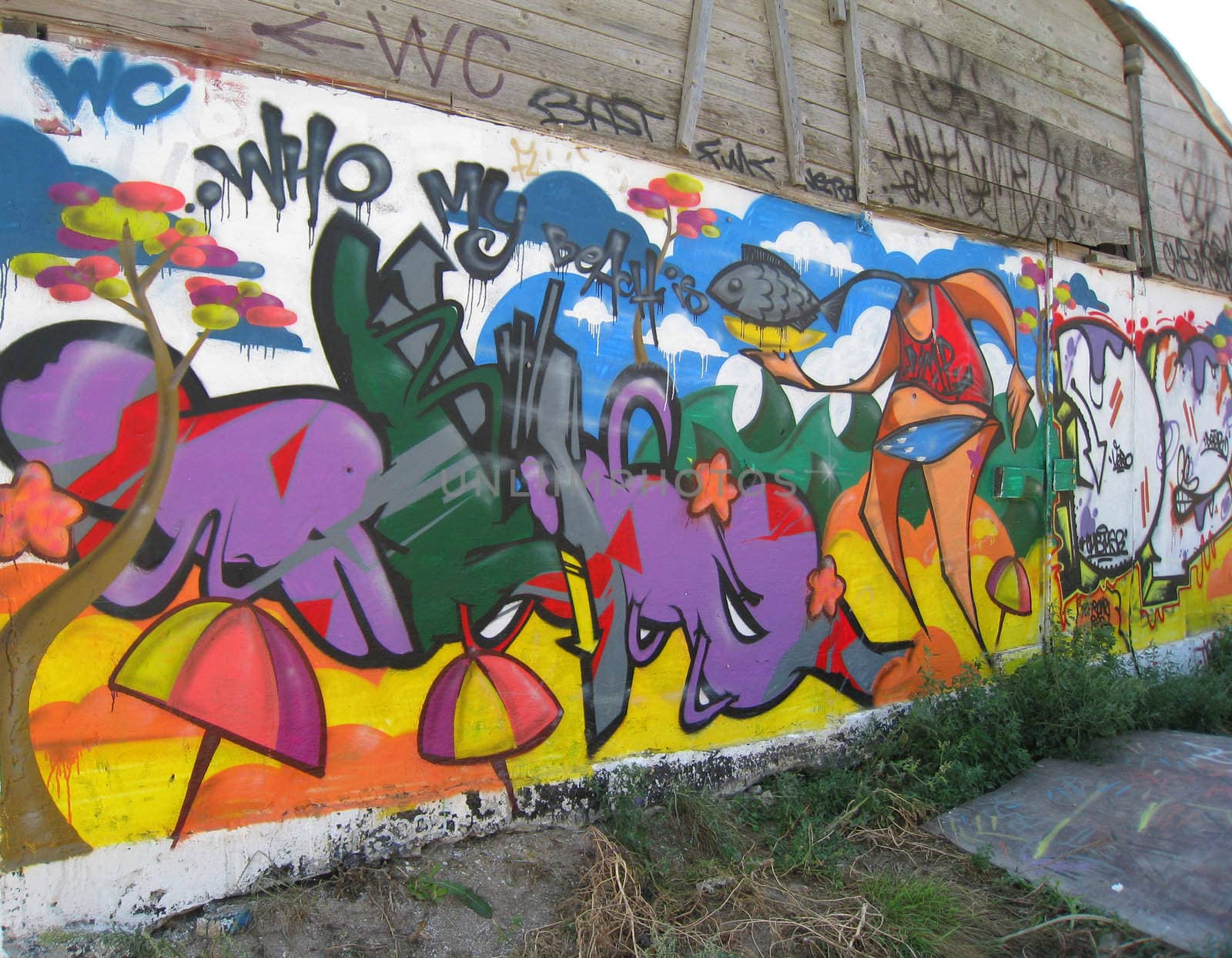 Graffiti by timscottrom