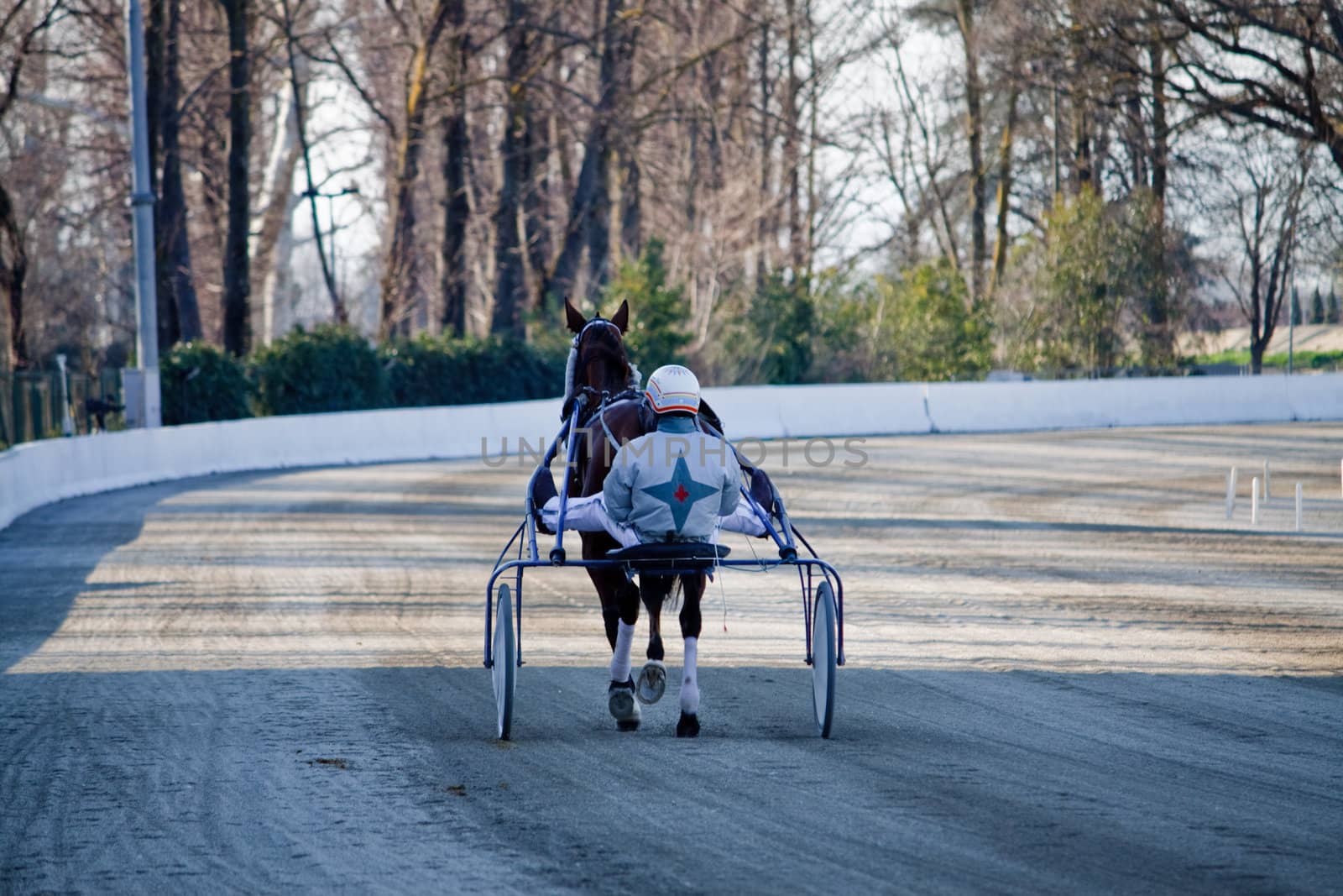 An image of horse trotting cart race competition