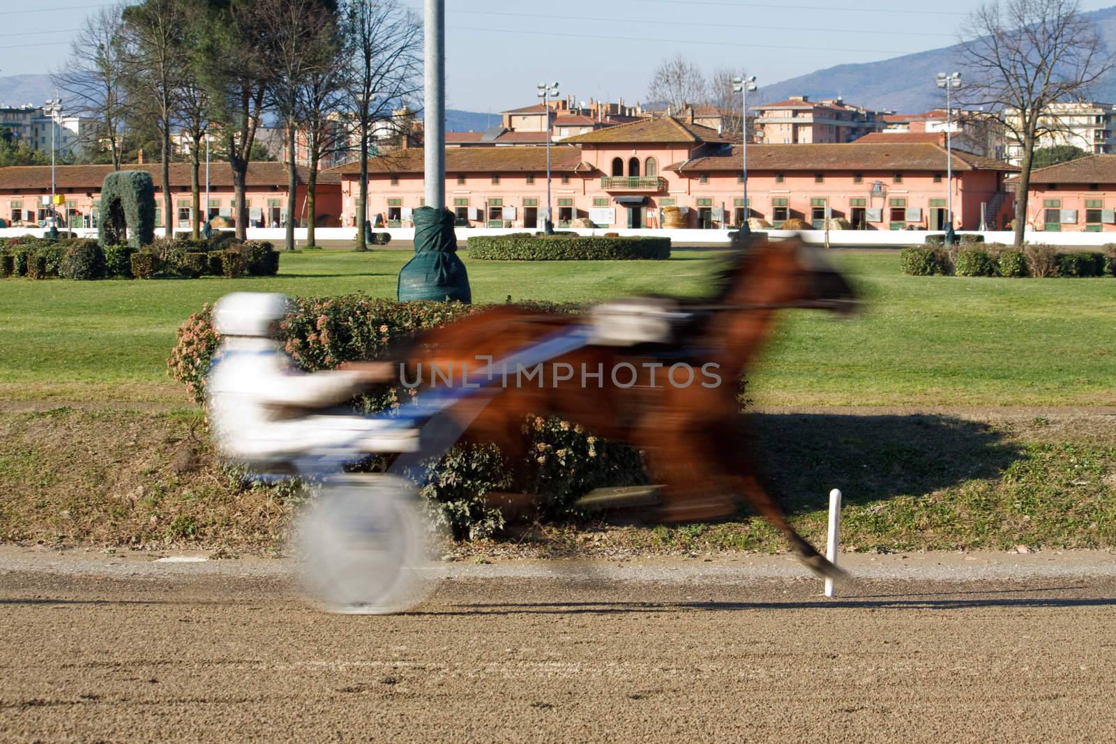 An image of horse trotting cart race competition