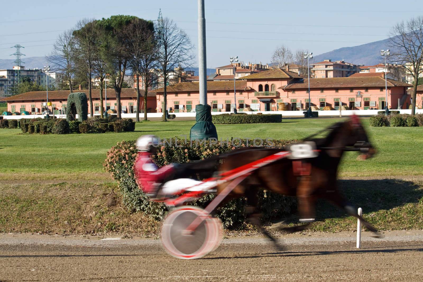 An image of horse trotting cart race competition
