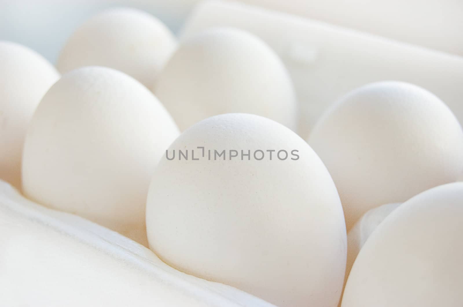 Some white eggs in packing