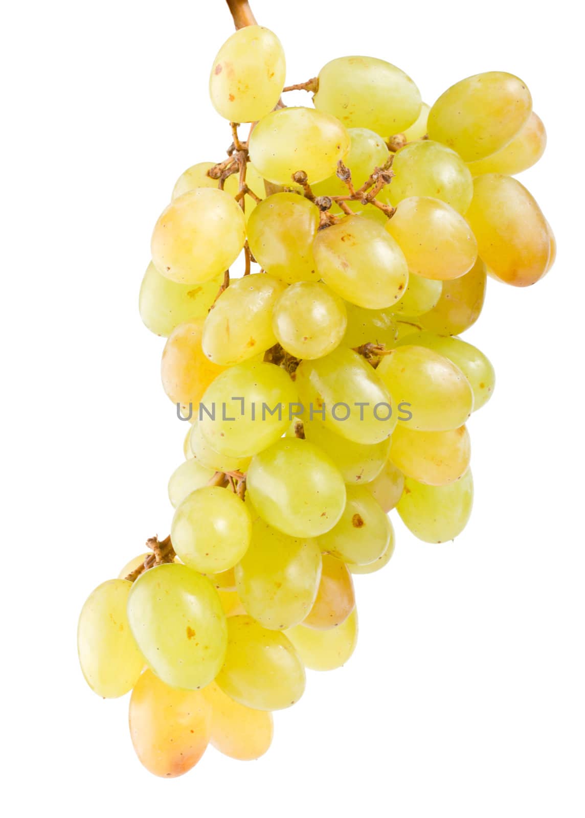 close-up green grapes, isolated on white