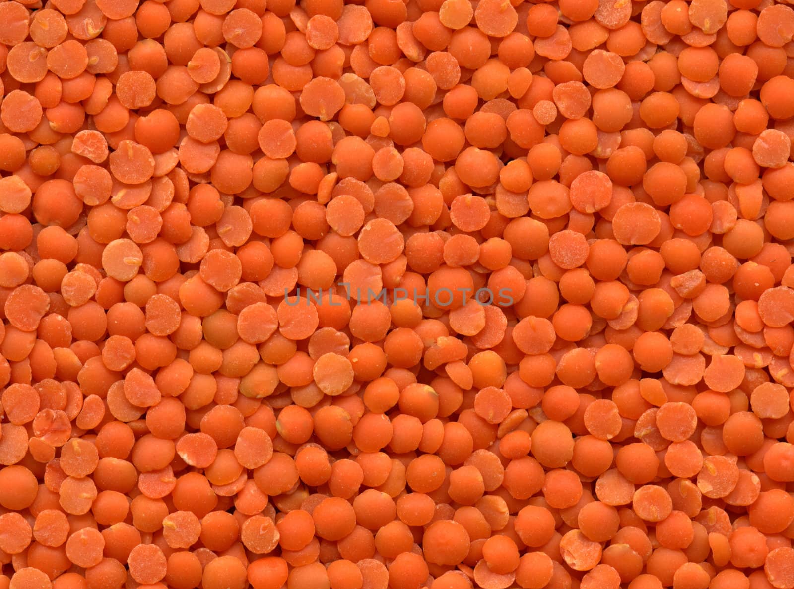 Close-up of dry red lentils, for texture or background