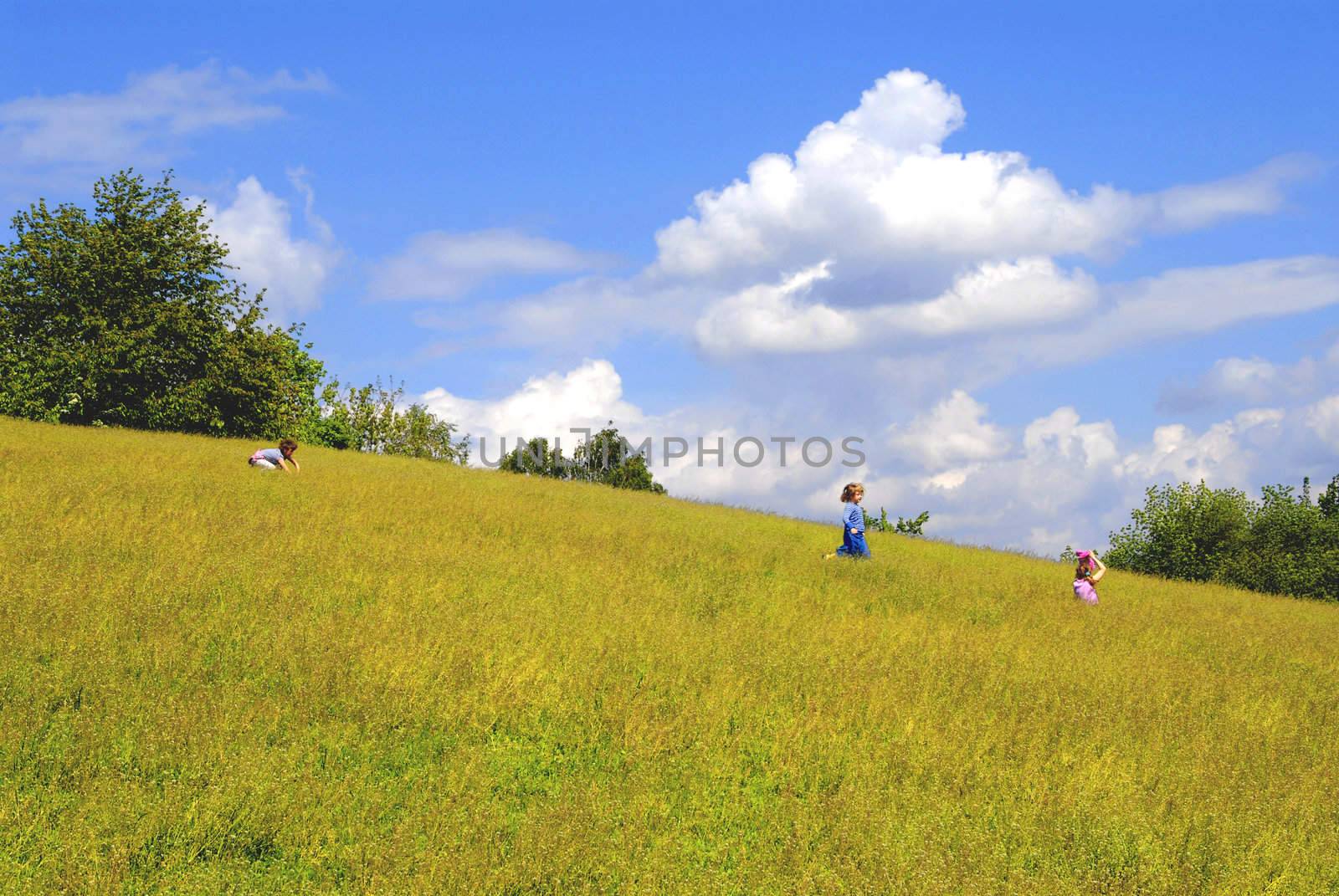 Kids playing in the meadow