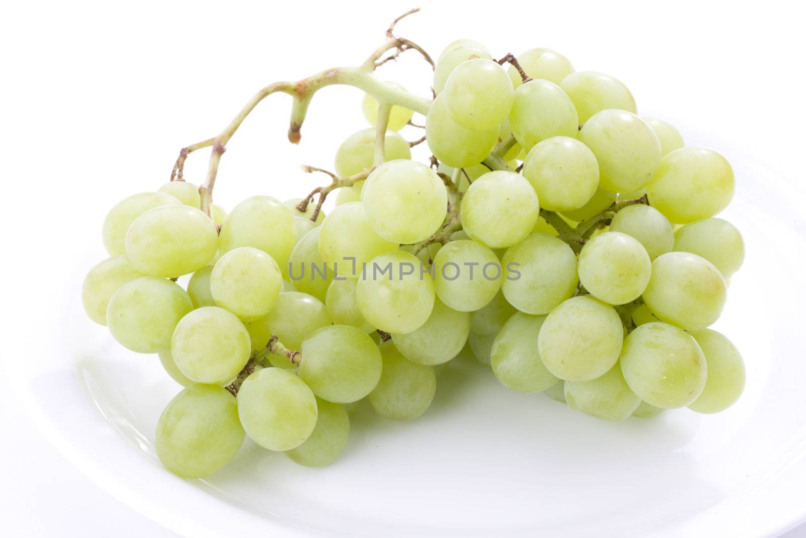 grape cluster on a plate by bernjuer