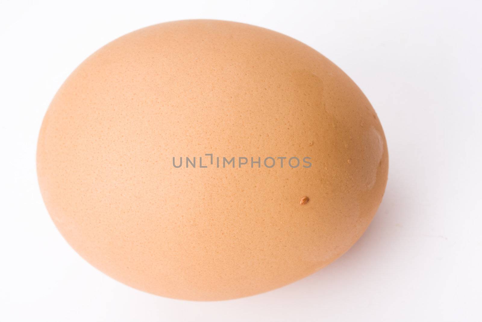 single beige egg on a white background
