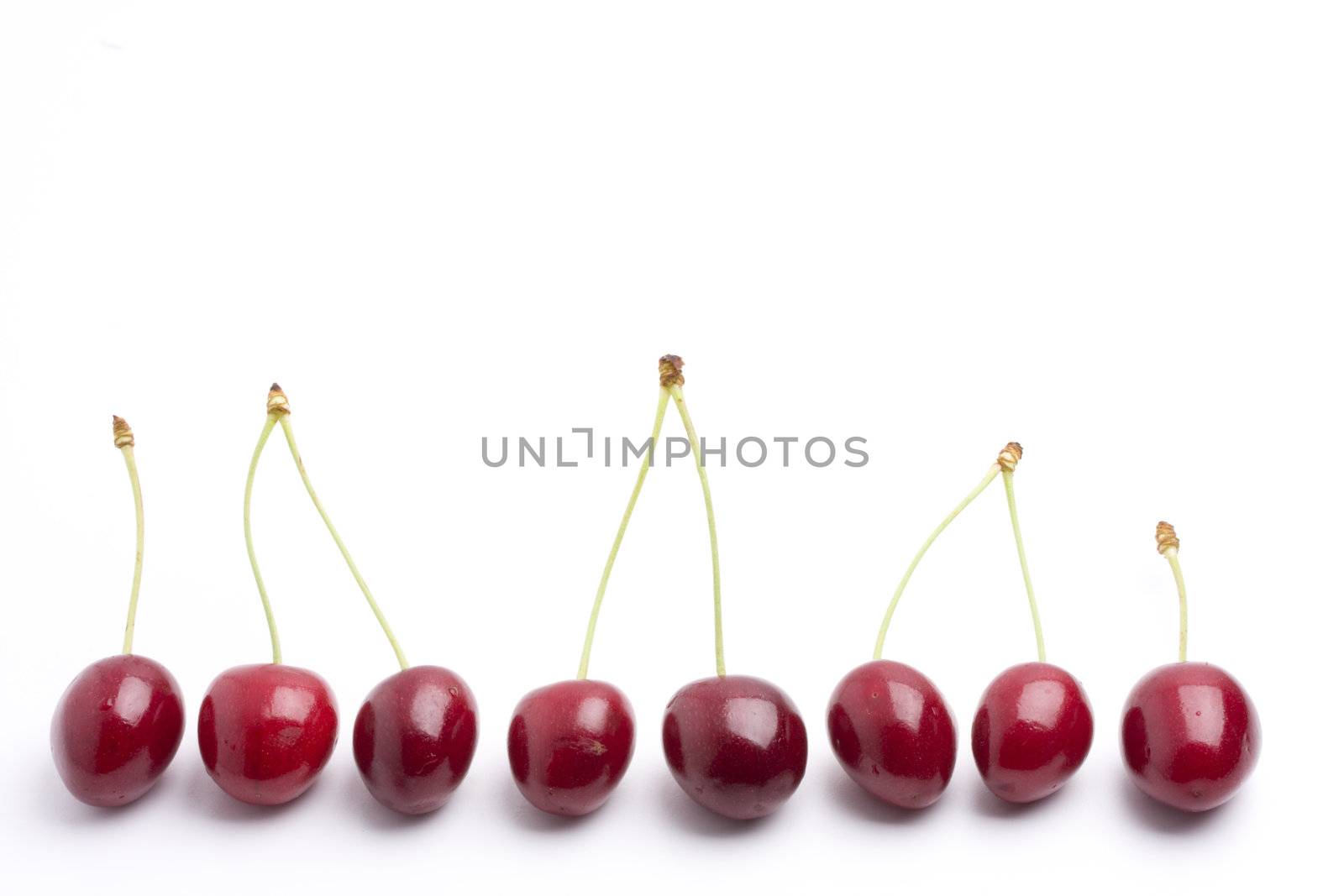 row of red cherries on white background by bernjuer