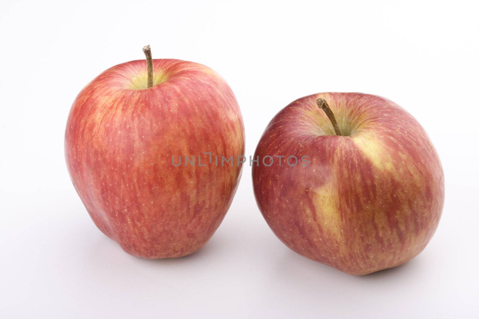 two red apples on white background by bernjuer