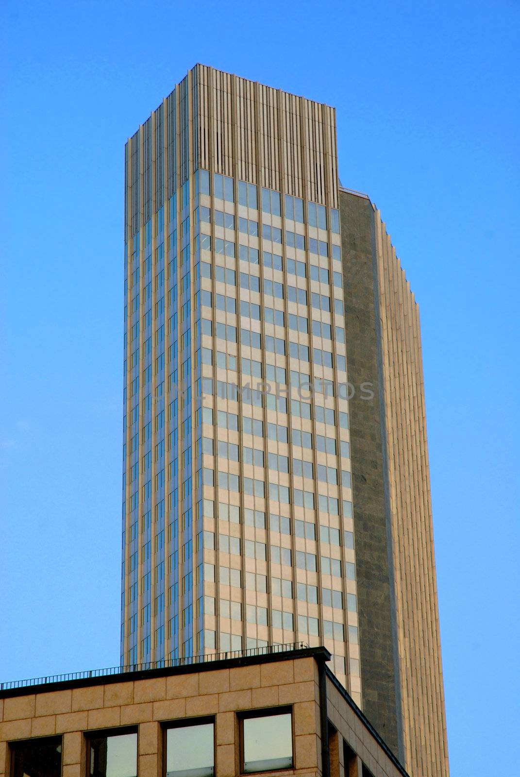Urban Scene. Top of modern skyscrapers with a smaller building in the front