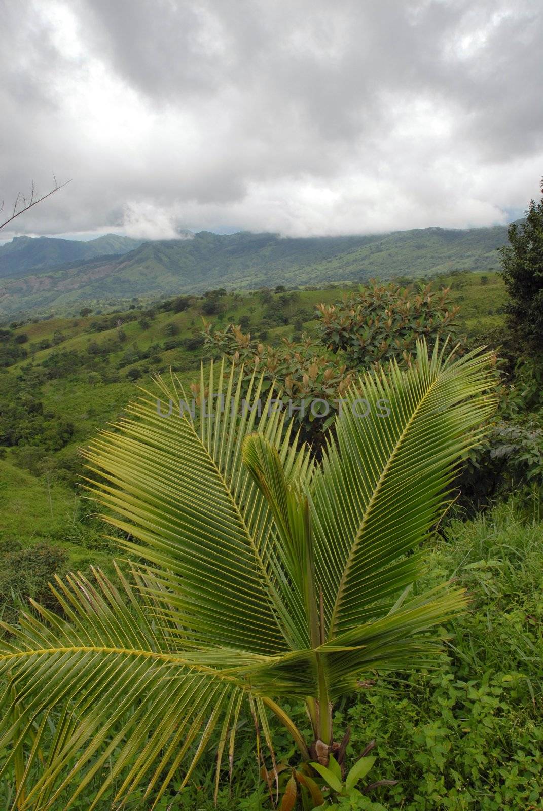 View from a tropical valley under a cloudy sky. Central Panama
