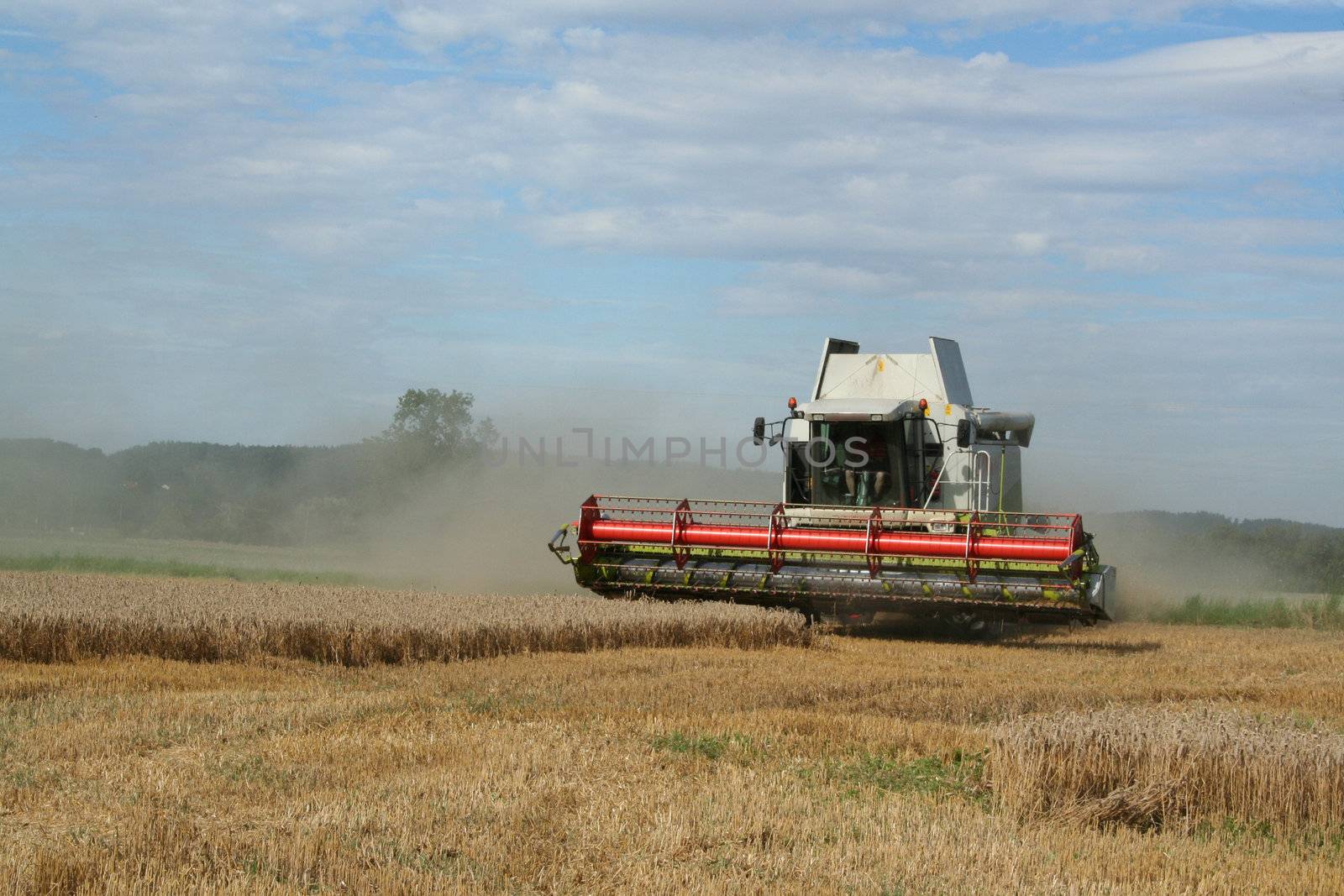 harvester on a wheat field by bernjuer