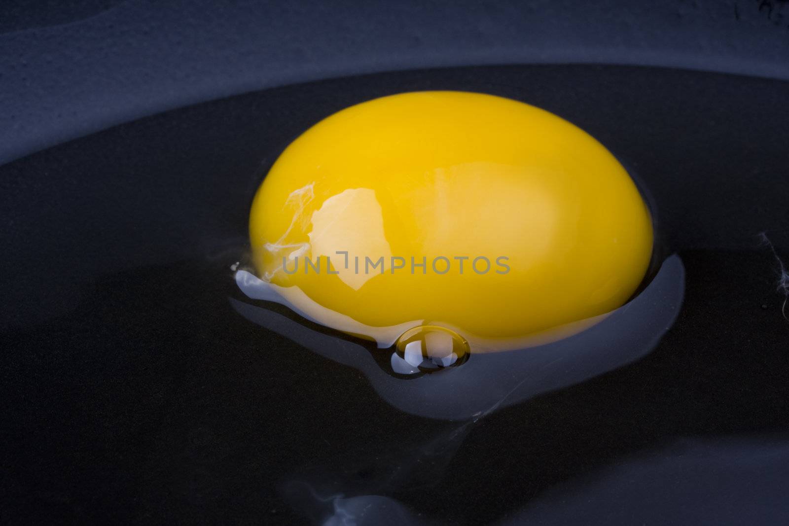 egg yolk in a black pan by bernjuer