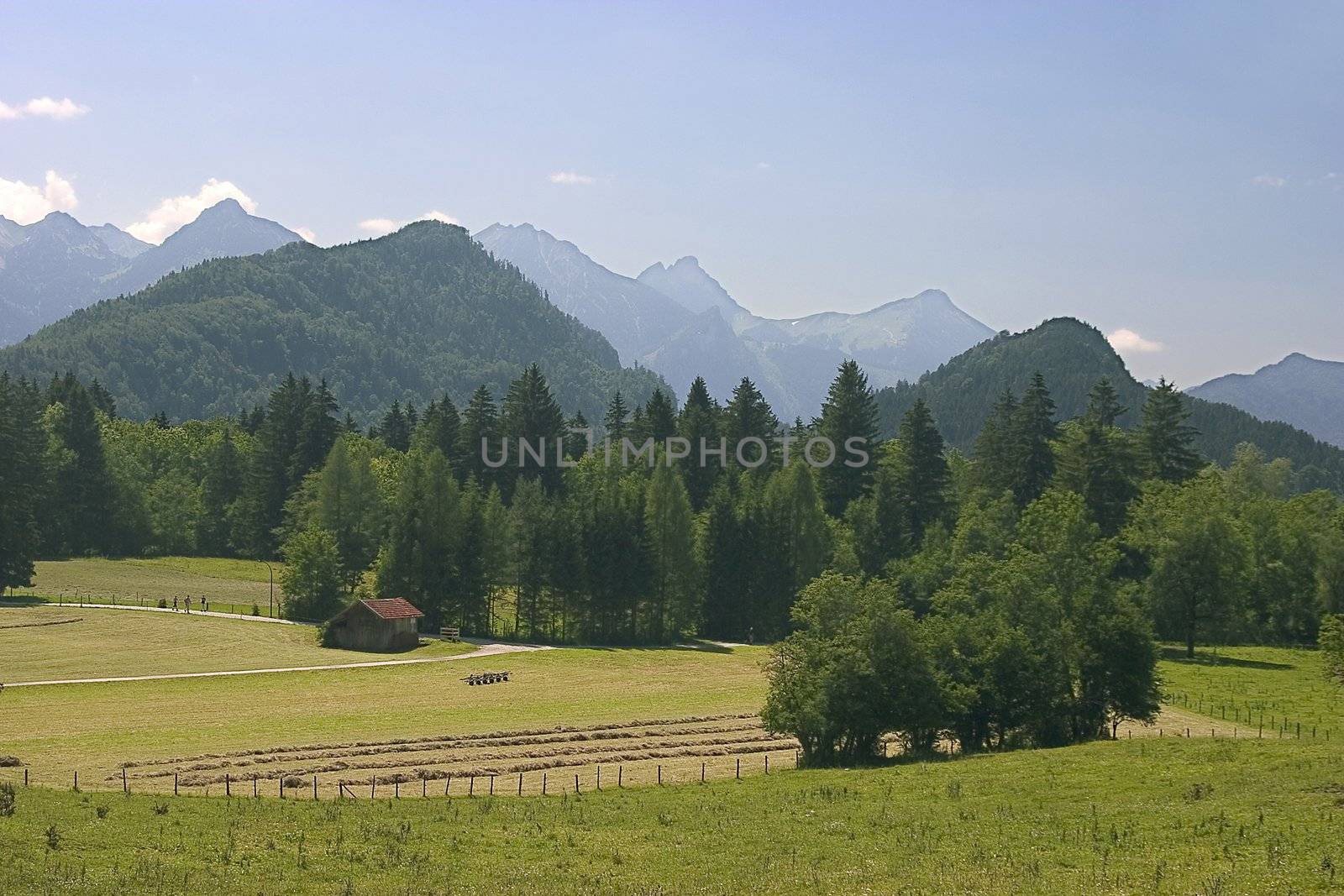 Beautiful pasture and mountains in Germany ( Allgäu )
Schöne Weide und Berge in Deutschland
