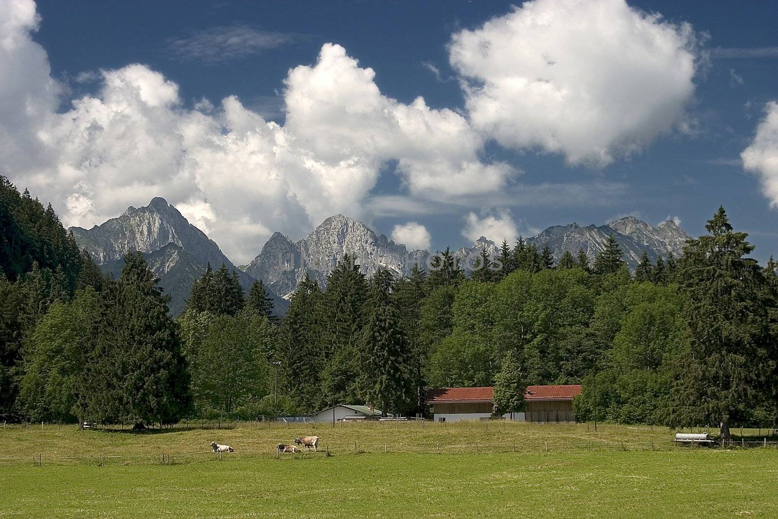 Beautiful pasture and mountains in Germany ( Allg�u )
Sch�ne Weide und Berge in Deutschland 
