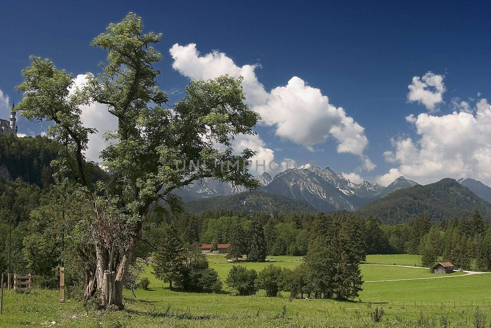 Beautiful pasture and mountains in Germany ( Allg�u )
Sch�ne Weide und Berge in Deutschland 
