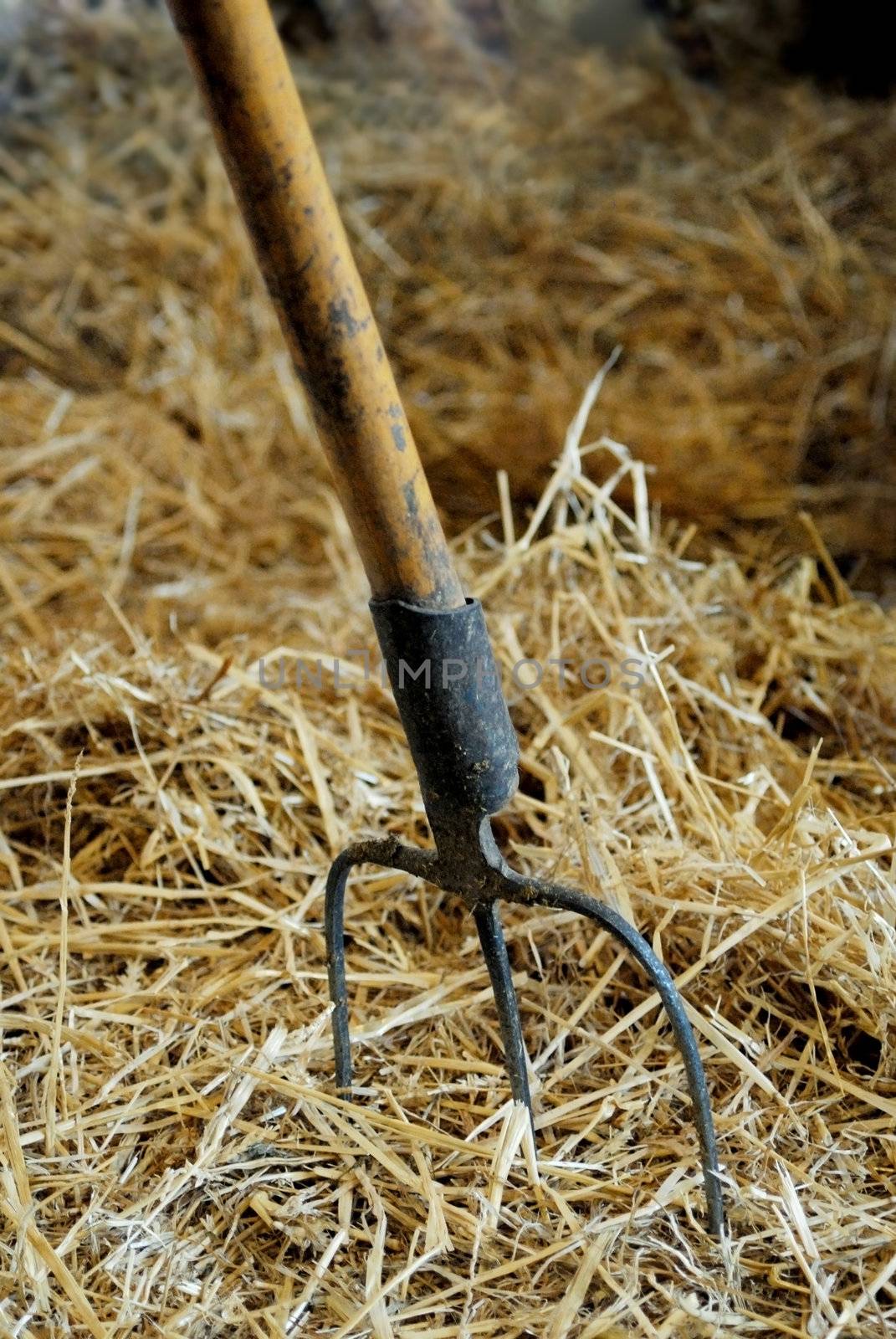 Close-up of rake stirring the hay


