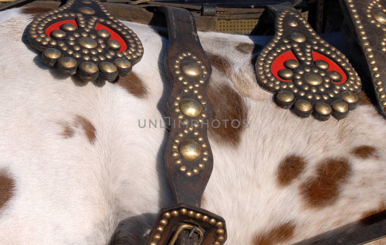 Detail of cattle saddle leather and gilt metal wall lights. Cattle skin texture background