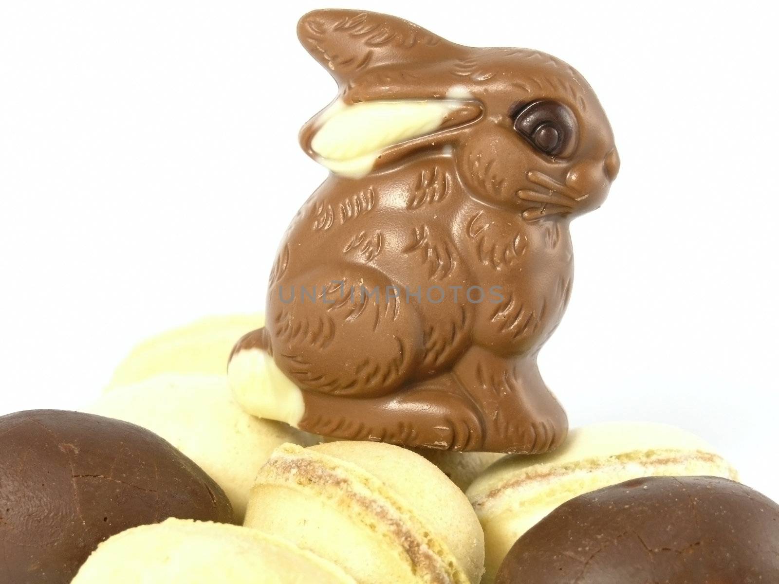 Chocolate Easter Bunny isolated on white background 