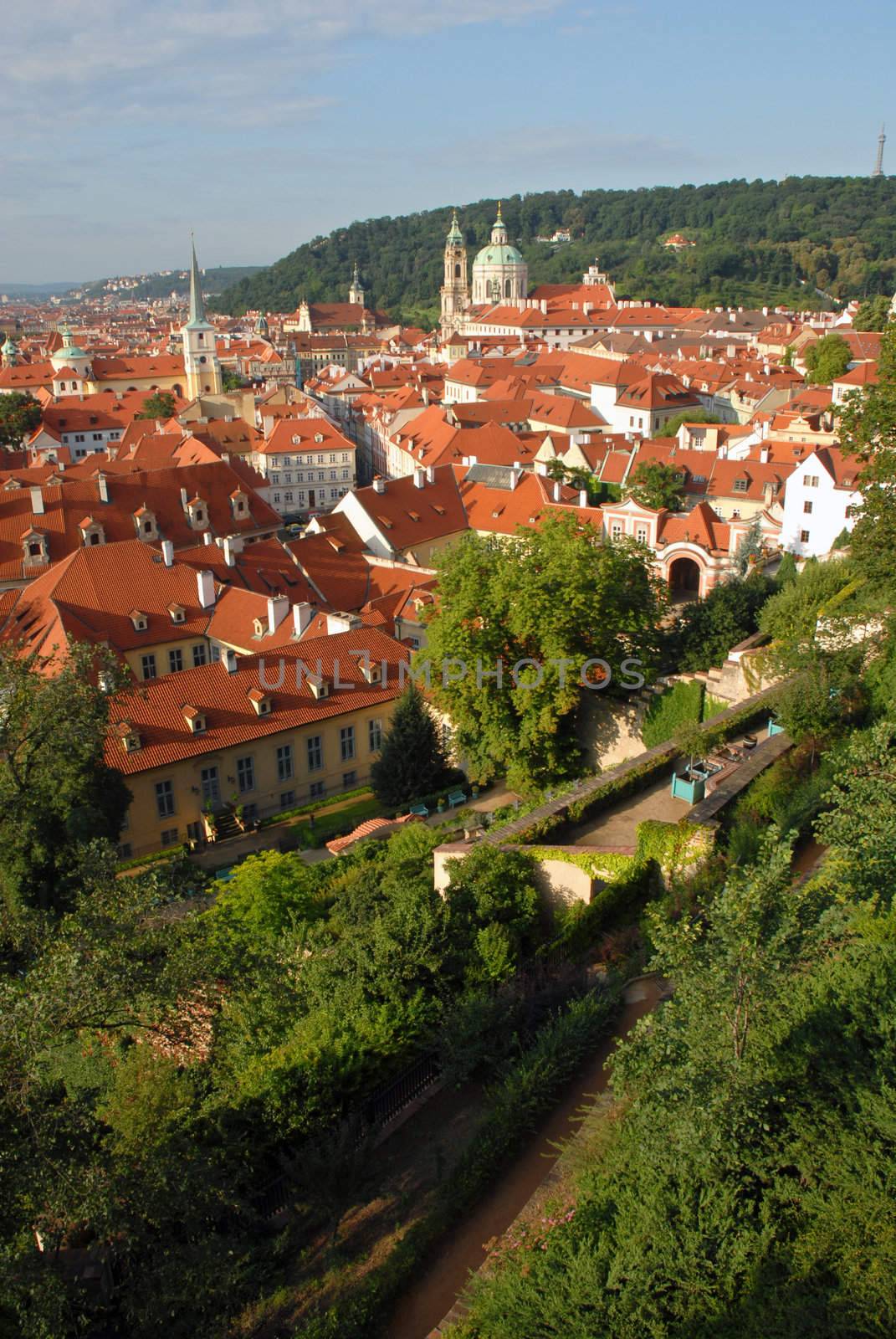 Aerial view of red roofs. Prague city