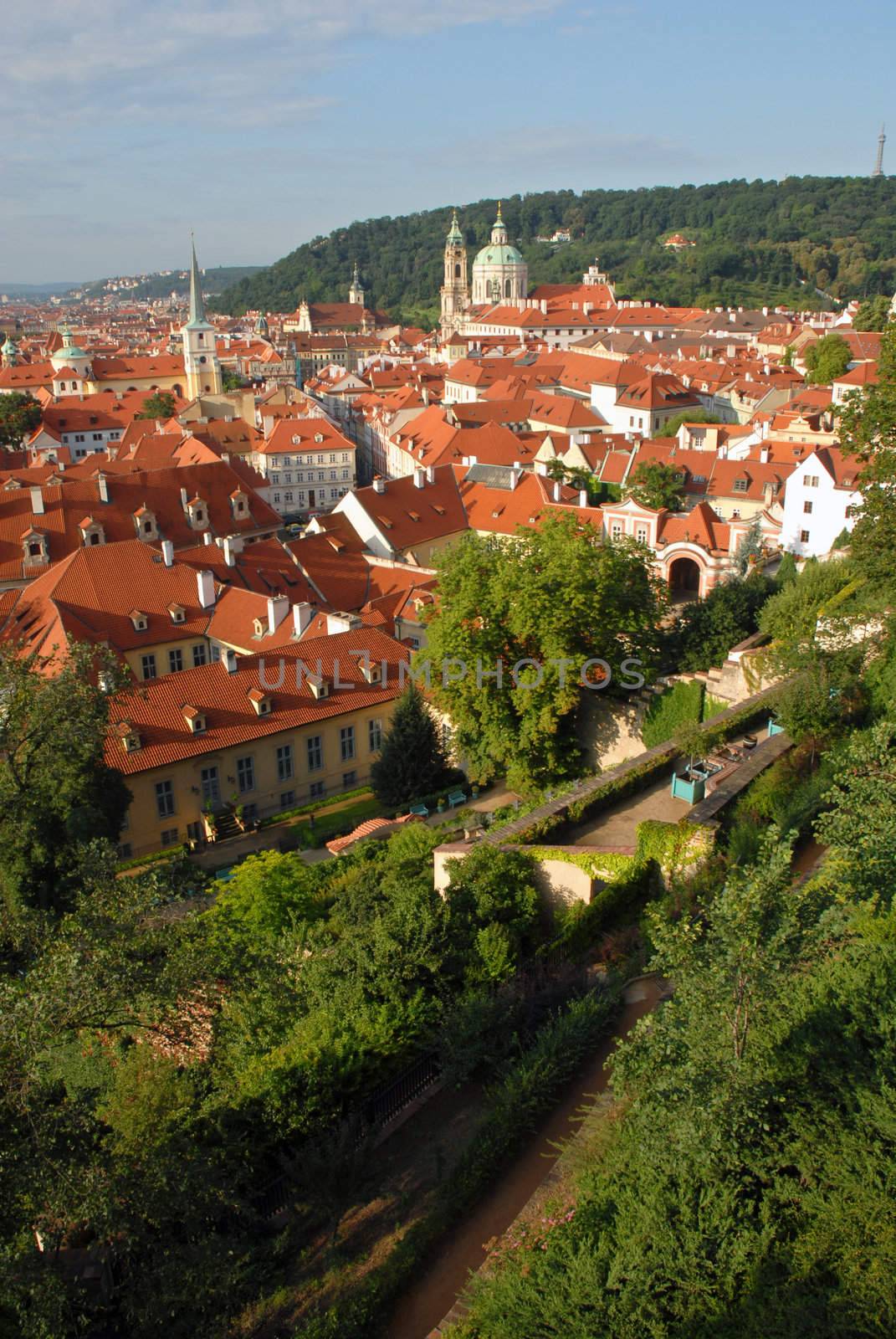 Red roofs landscape by cienpies