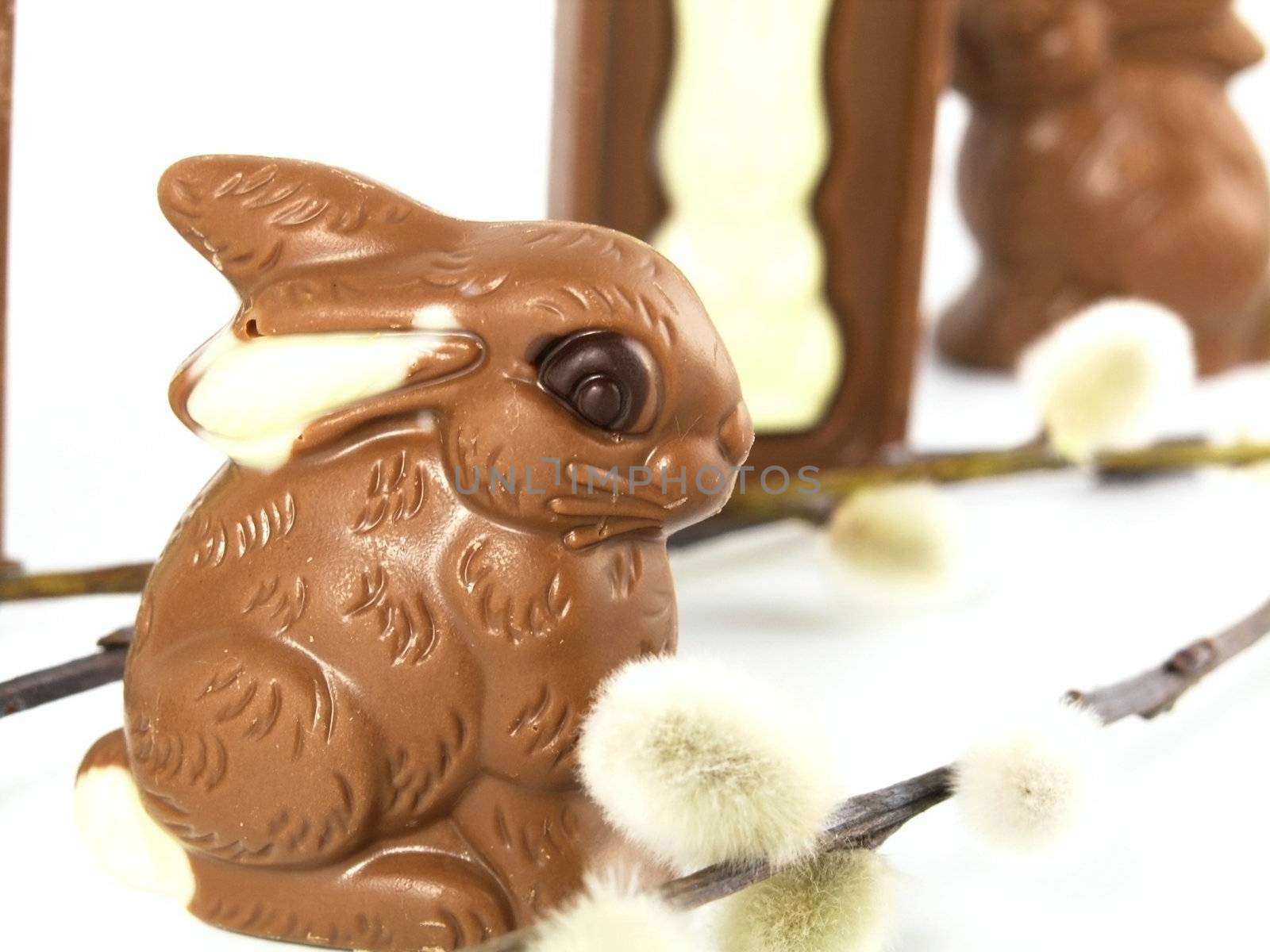 Chocolate Easter Bunny by iwka