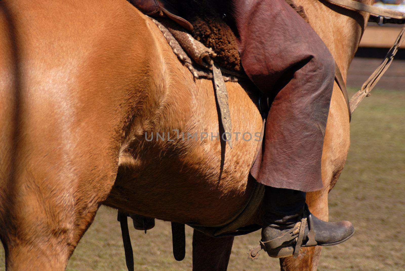 Horse dressage competition. Cowboy on a brown beautiful horse