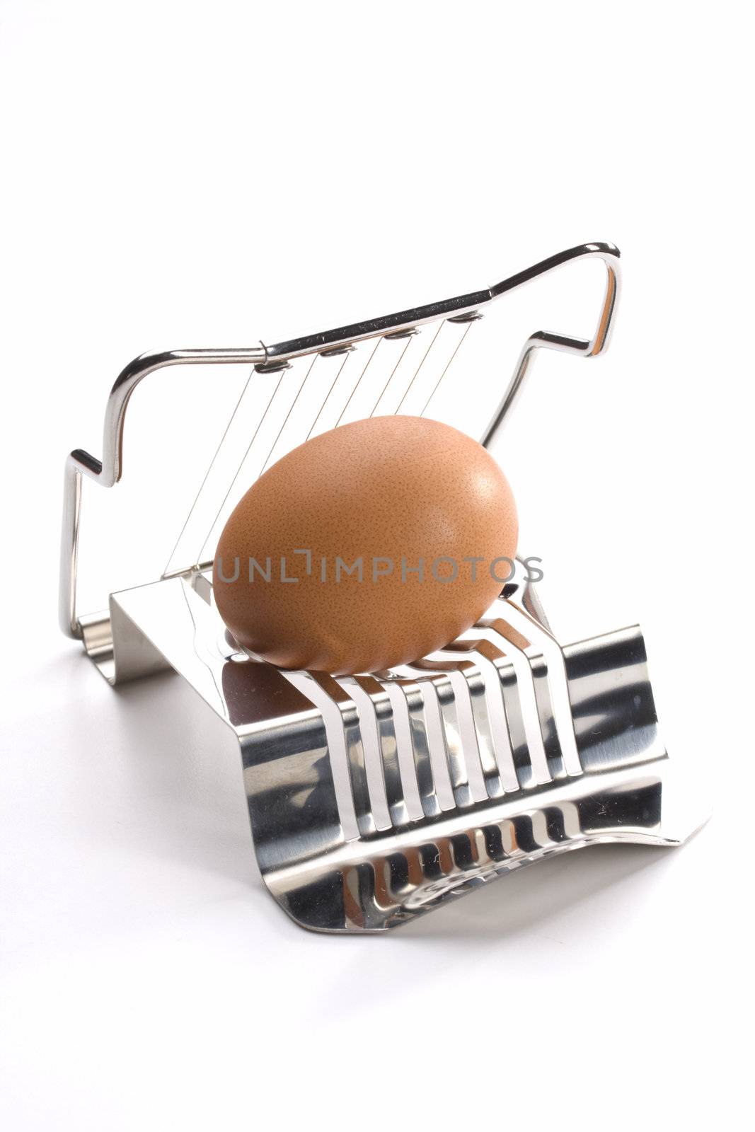 egg cutter with an egg on white background