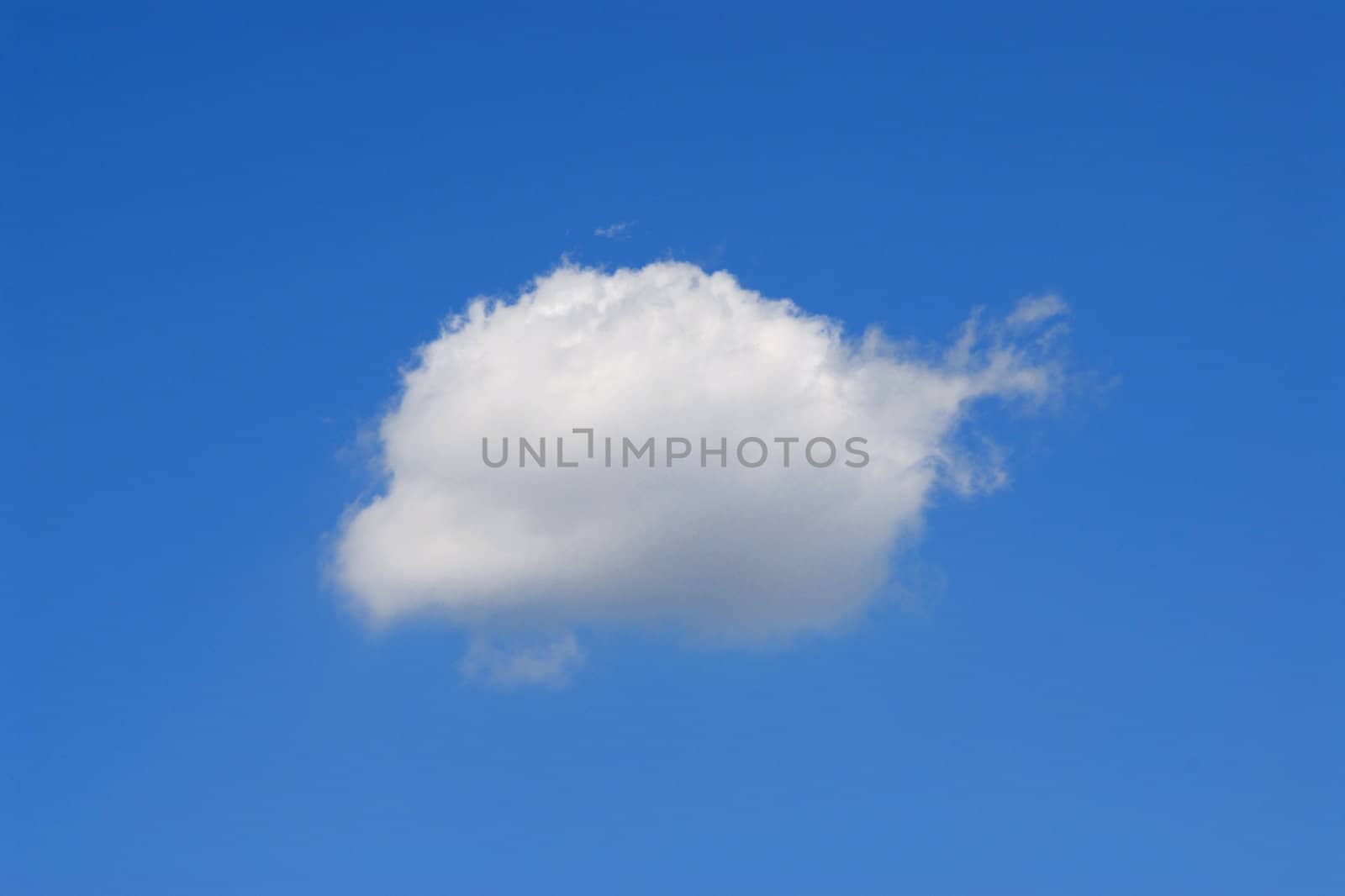 Little cloud by Yaurinko