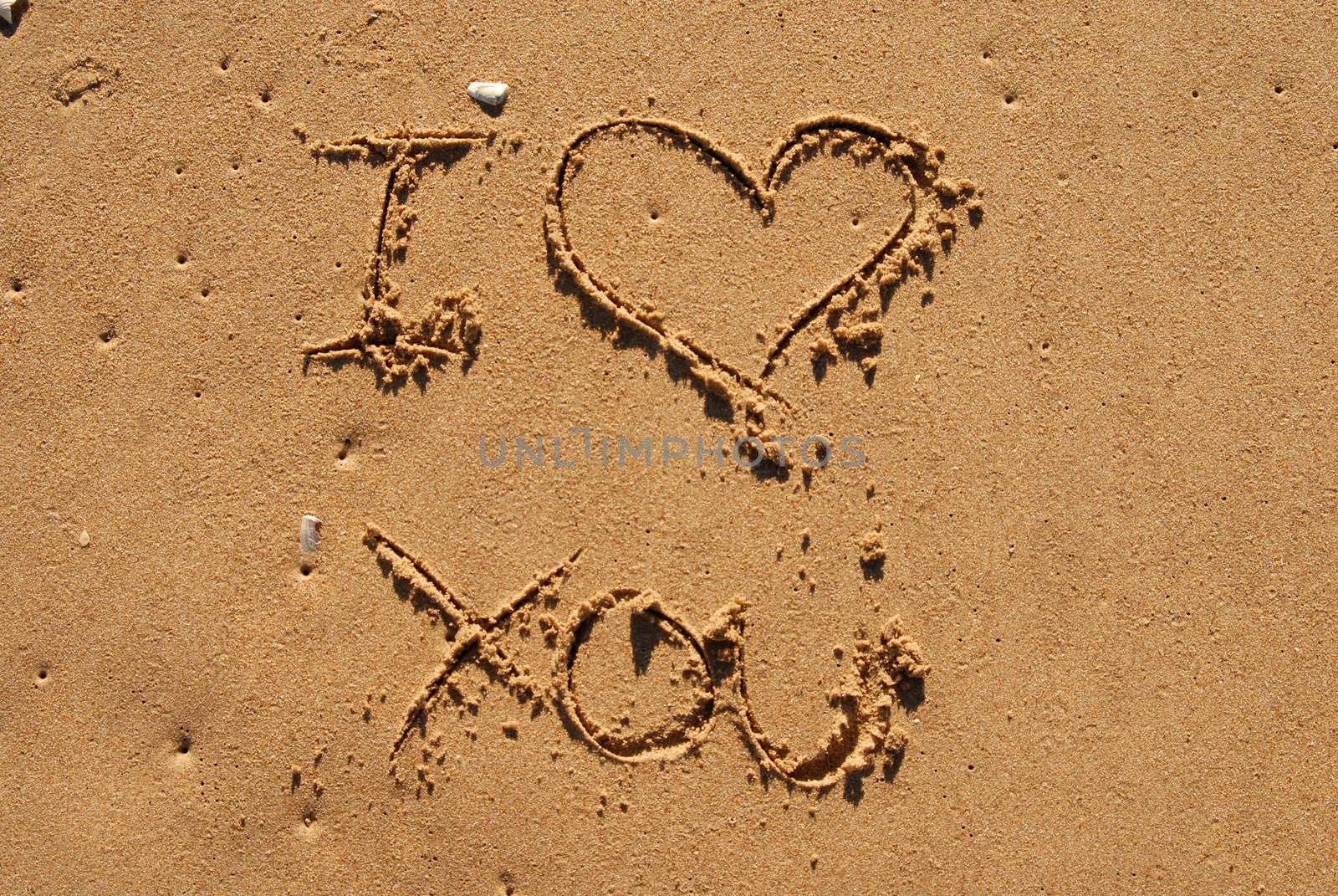I love you written in the sand
